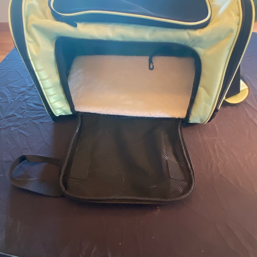 Soft-Lined Pet Carrier Backpack in Light Green and Black